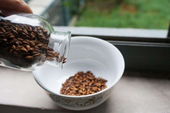 大麥茶上火嗎，喝大麥茶會不會上火？