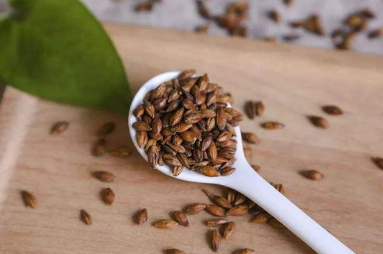 大麥茶上火嗎，喝大麥茶會不會上火？