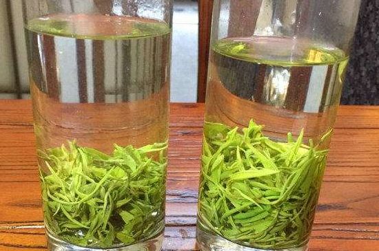 黃金茶的功效及禁忌癥，黃金茶有什么副作用嗎？