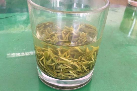 碧螺春正確泡法和飲用，碧螺春茶泡茶方法與溫度