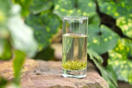 碧螺春沖泡三要素，碧螺春怎么泡才正確？