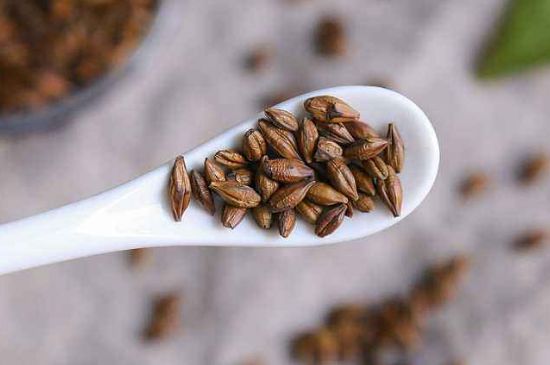 飯店的大麥茶為什么那么香，自己泡的蕎麥茶沒飯店香