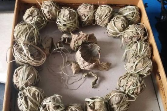 鷓鴣茶用拆開泡嗎，鷓鴣茶要解開繩子泡嗎