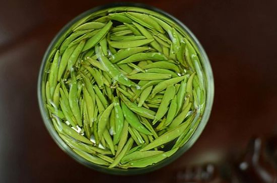 雀舌茶什么人不能喝，雀舌茶的功效與禁忌