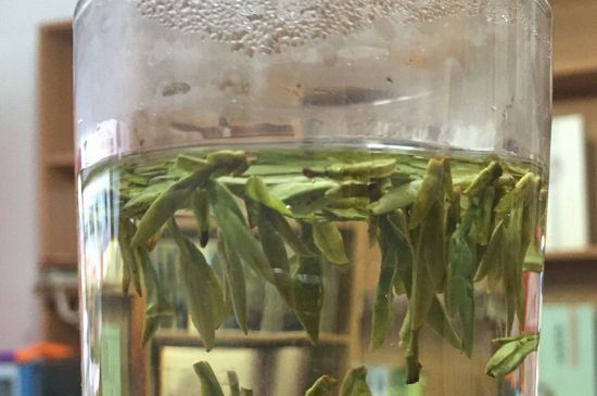 煮茶器能煮龍井嗎，龍井茶能不能用煮茶器圖