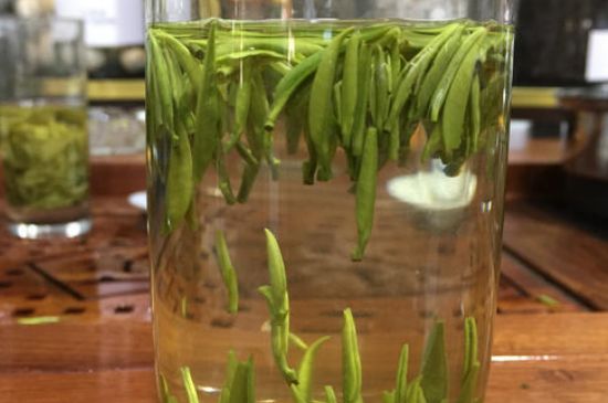 雀舌茶的沖泡方法，怎么沖泡雀舌茶？