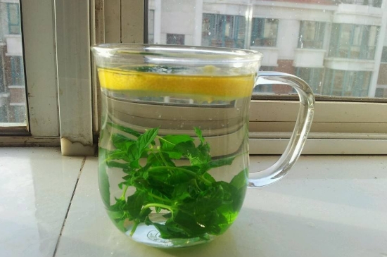 薄荷茶的功效與作用，喝薄荷茶有什么好處？