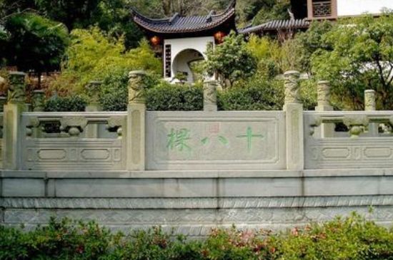 世界最貴的茶葉排行榜，十大最貴的茶