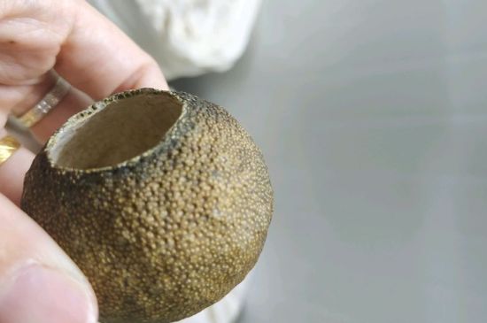 小青柑多少錢一盒，新會(huì)小青柑普茶價(jià)格一斤多少