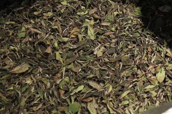 陳茶還是新茶好，茶葉是新茶好喝還是陳茶好喝