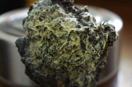 涇渭茯茶保質(zhì)期多久，陜西涇渭茯茶能放幾年