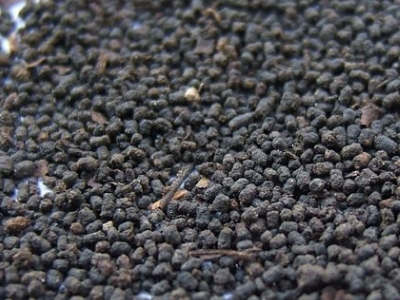 圓形顆粒狀茶是什么茶，像飼料一樣一粒粒的是什么茶？