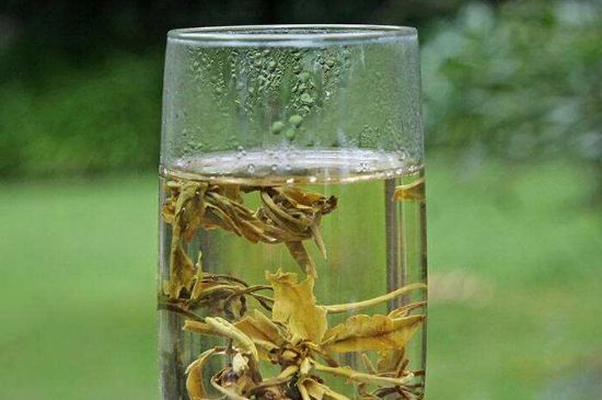 茉莉龍珠什么人不能喝，茉莉龍珠茶什么體質不能喝？