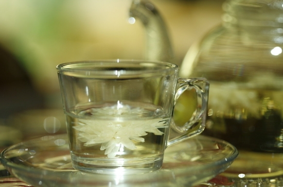 菊花茶天天喝行嗎，每天喝菊花泡茶喝好嗎？