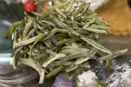 蒸汽煮茶器適合什么茶，蒸汽煮茶器適合用綠茶嗎？