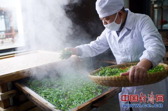 炒青綠茶與綠茶的區(qū)別，烘青和炒青哪個好喝？