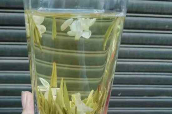 茉莉茶能天天喝嗎，茉莉花茶一周喝幾次