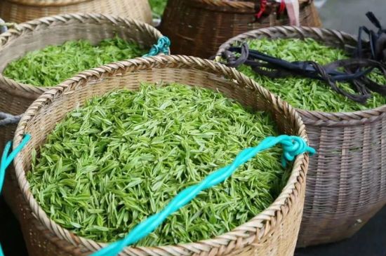 茶葉怎么炒制才香，怎樣炒茶葉更香？