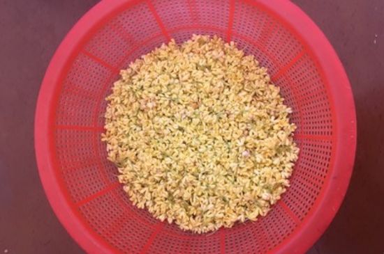 干桂花茶的制作方法，怎樣自制桂花茶？