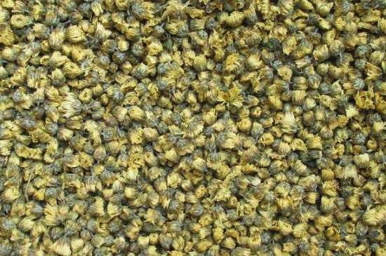 菊花茶大朵小朵有什么區(qū)別，菊花喝大朵還是小朵？