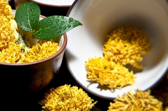 孕婦可以喝菊花茶嗎，菊花對胎兒有致畸作用？