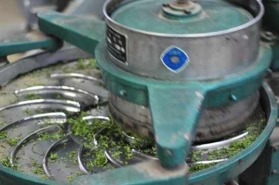 武夷巖茶的初制、精制加工工藝詳細講解