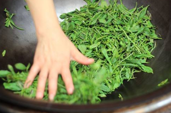 炒青綠茶與綠茶的區(qū)別，烘青和炒青哪個好喝？