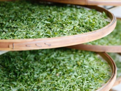 云南八大茶系分別是哪些，都是什么名字