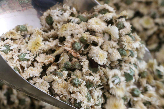 菊花茶買小朵還是大朵，泡茶用的小菊花和大菊花哪個(gè)好