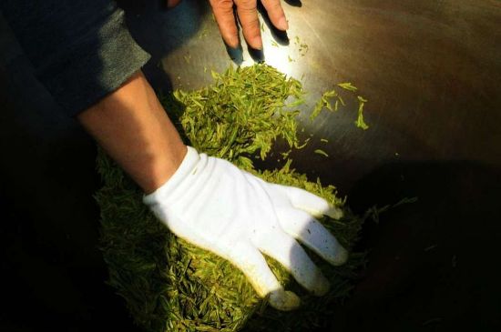 茶葉怎么炒制才香，怎樣炒茶葉更香？