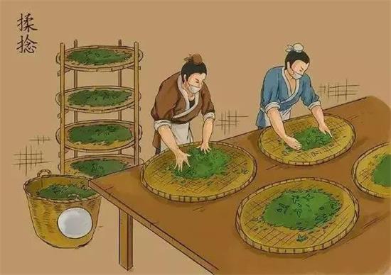 制茶八步驟，制茶工藝流程圖