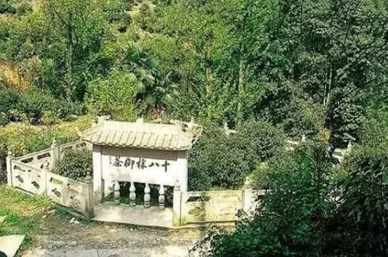 母樹大紅袍給誰喝了，為什么母樹大紅袍叫三棵六株？