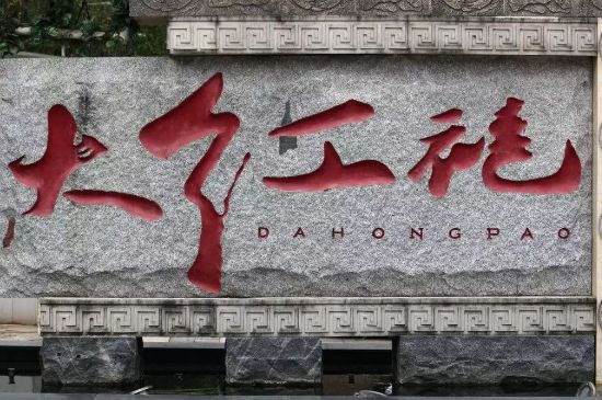 母樹大紅袍給誰喝了，為什么母樹大紅袍叫三棵六株？