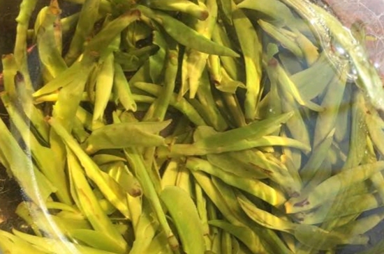 龍井是明前的好還是雨前的好，明前茶和雨前茶哪個(gè)好喝？