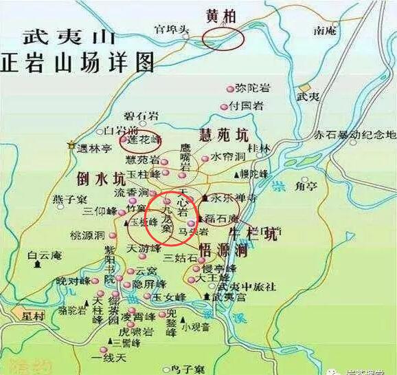 母樹大紅袍給誰喝了，為什么母樹大紅袍叫三棵六株？