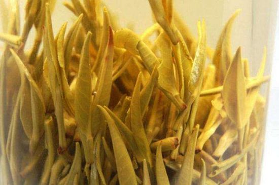 黃茶不適合哪些人喝，黃茶的功效與作用禁忌