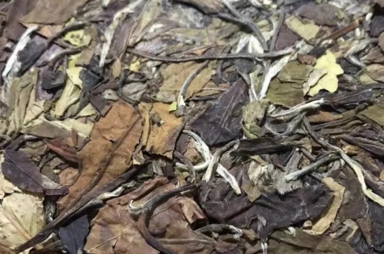 老白茶上火還是去火？夏季喝煮的老白茶會容易上火！