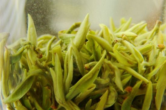 碧螺春為什么泡水渾濁，碧螺春茶葉泡水感覺很臟是混濁的