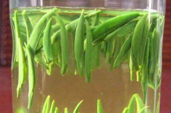 竹葉青和毛尖的區(qū)別，毛尖和竹葉青怎么分辨？