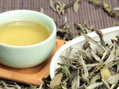 大紅袍好還是白茶好，福鼎白茶和大紅袍哪個貴？