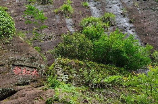 武夷巖茶大紅袍，喝起來是什么味道？
