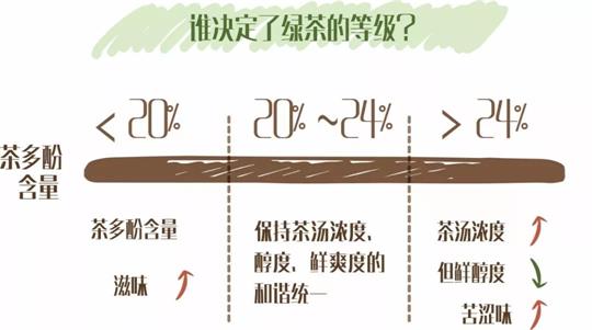 什么綠茶口味重口感濃郁，口味比較重的綠茶都有那些？