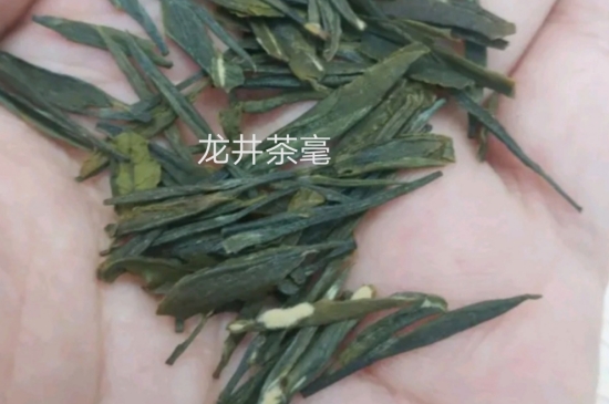 西湖龍井茶毫和發(fā)霉區(qū)別圖片，長(zhǎng)霉的龍井茶葉會(huì)是什么樣？