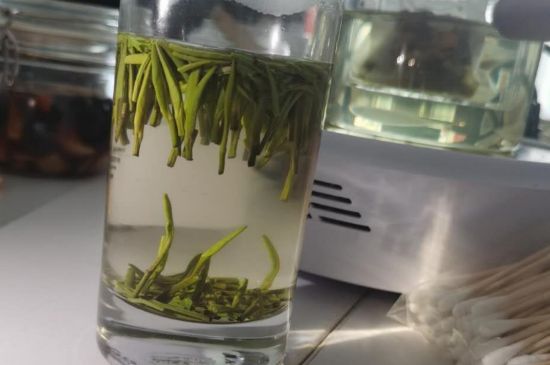 金壇雀舌算不算好茶，金壇雀舌屬于什么檔次茶葉？