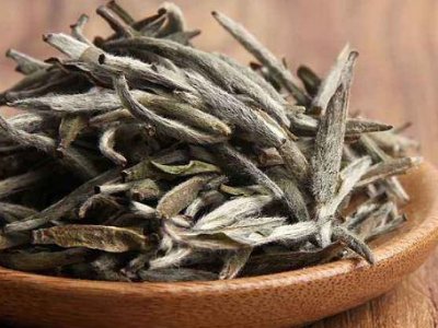 白茶有哪些品種排名，<a href=http://m.robertaspegne.com/fenlei/baicha/ target=_blank class=infotextkey>白茶的種類</a>大全