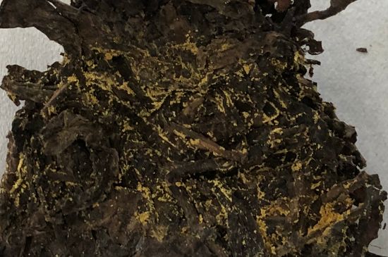 怎么知道涇渭茯茶是否變質(zhì)，茯磚茶金花和發(fā)霉的區(qū)別