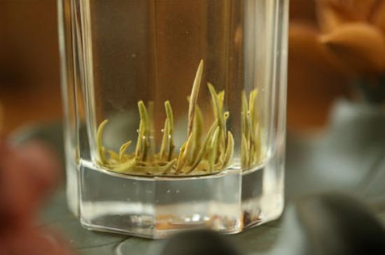 踏雪蘭妃是什么茶，踏雪蘭妃是哪里的茶葉?