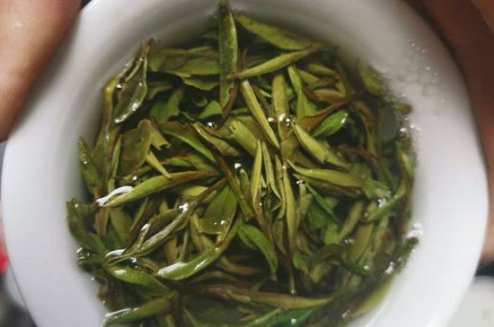 什么人不能喝白茶，白茶不宜什么人喝？