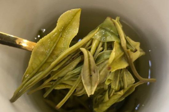 新舊白茶怎么區(qū)分，怎么分辨白茶是新還是舊