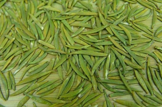 竹葉青和毛尖的區(qū)別，毛尖和竹葉青怎么分辨？